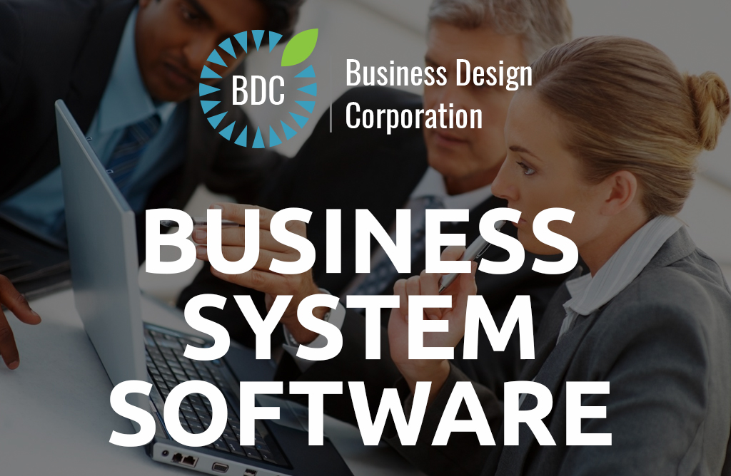 Checklist For Buying And Implementing Business System Software